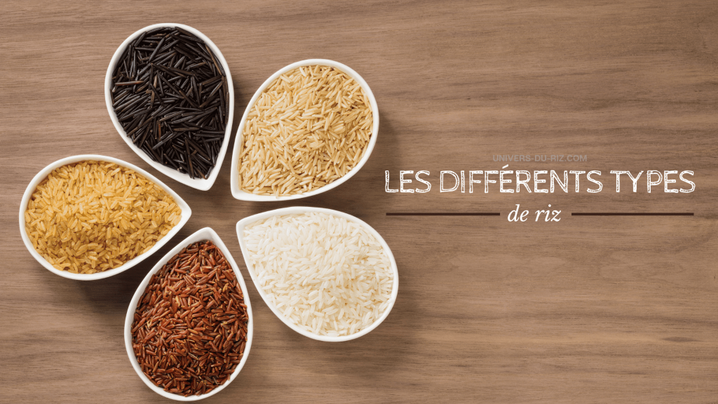 Les différents types de riz - Univers du riz